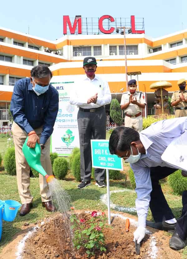 MCL celebrates World Environment Day-2021