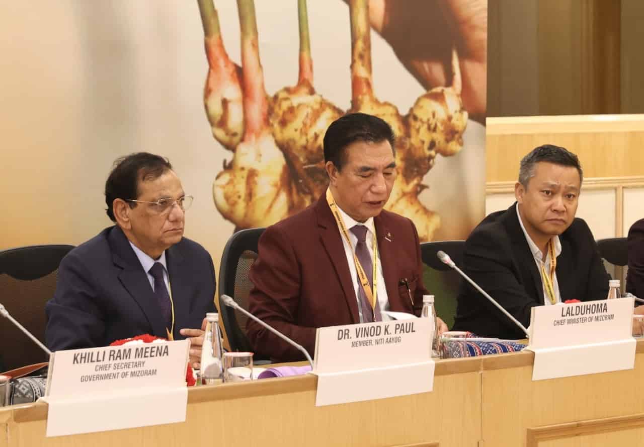NITI Aayog and Government of Mizoram Hold Consultation to Strengthen Ginger Value Chain