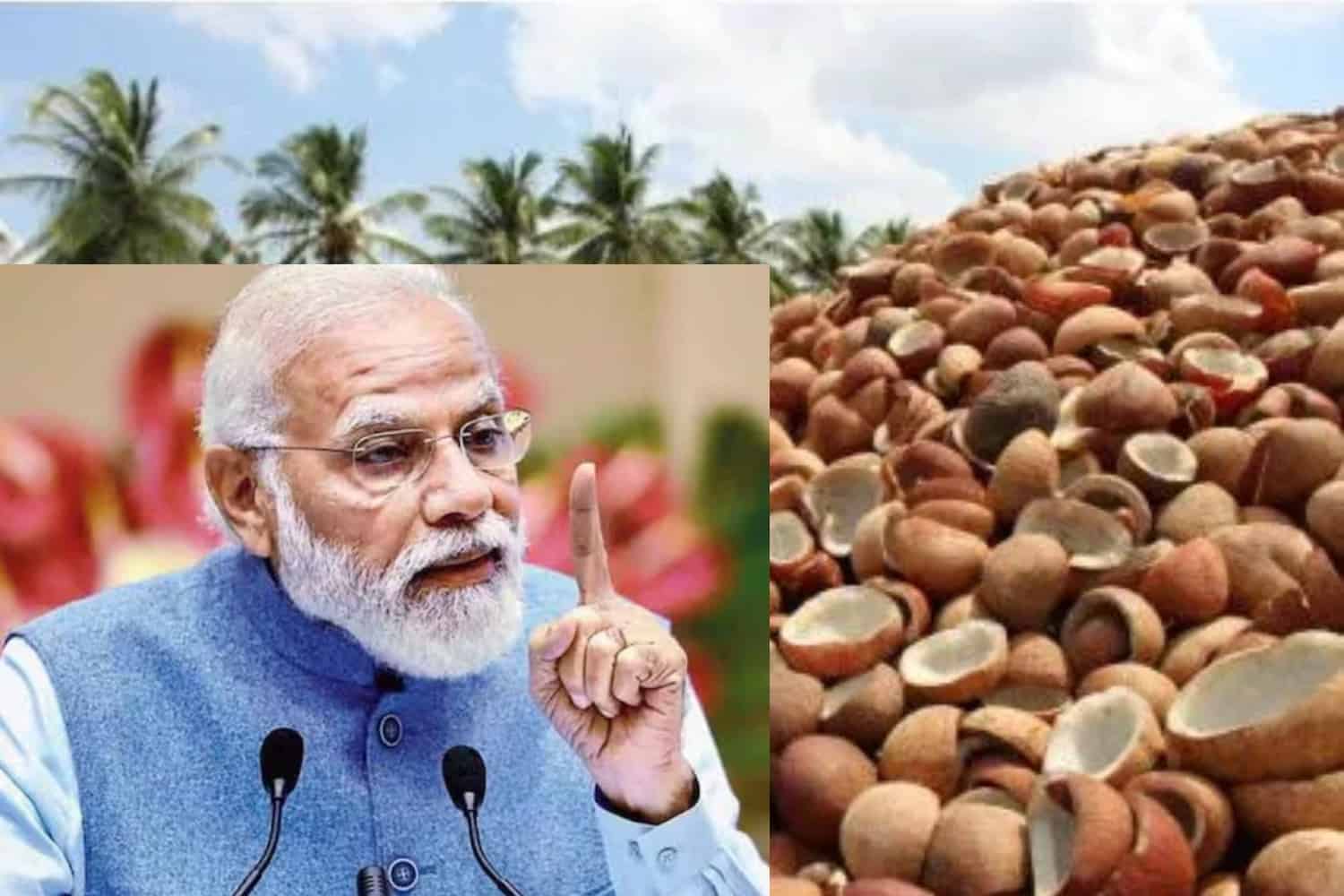 Cabinet approves minimum support price for copra for 2026 season