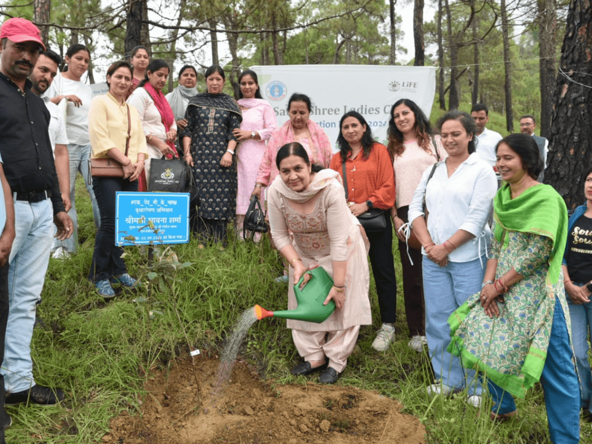 SJVN Initiates Major Plantation Drive Under National Plant4 Mother Campaign