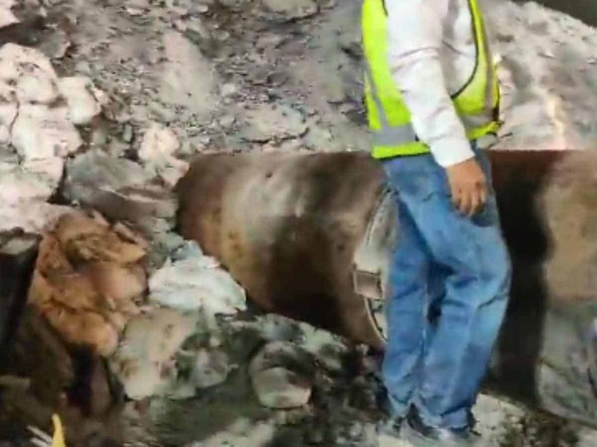 Uttarakhand Tunnel Collapse: Rescue Operations Halted, Workers Trapped for Over 150 Hours