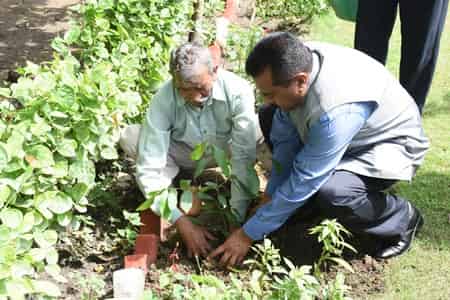 NSIC celebrated the 73rd Independence by Plantation initiative