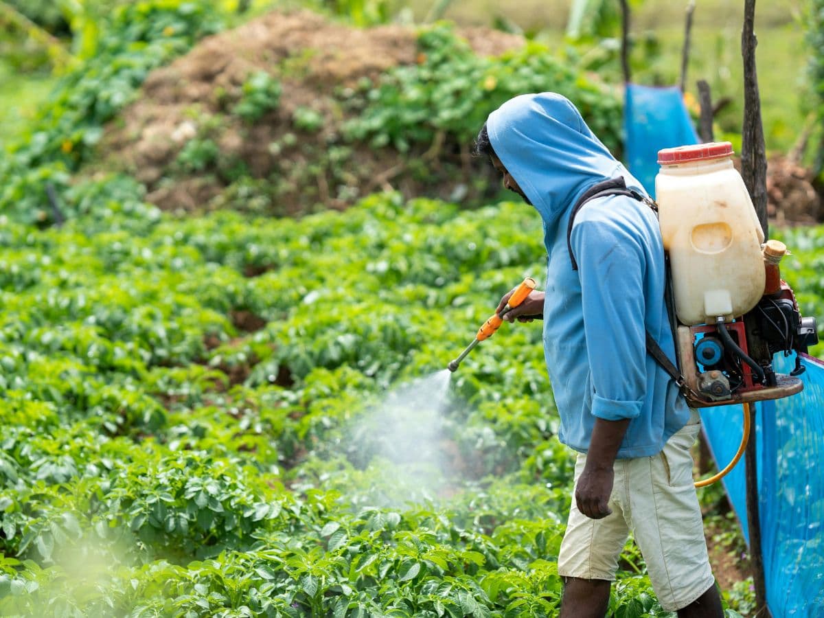 GST Reforms to Benefit Fertilizers Sector