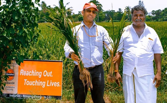 IOCL CSR Intervention in water saving Technologies in Paddy Crop Proved successful for Tamilnandu Farmers