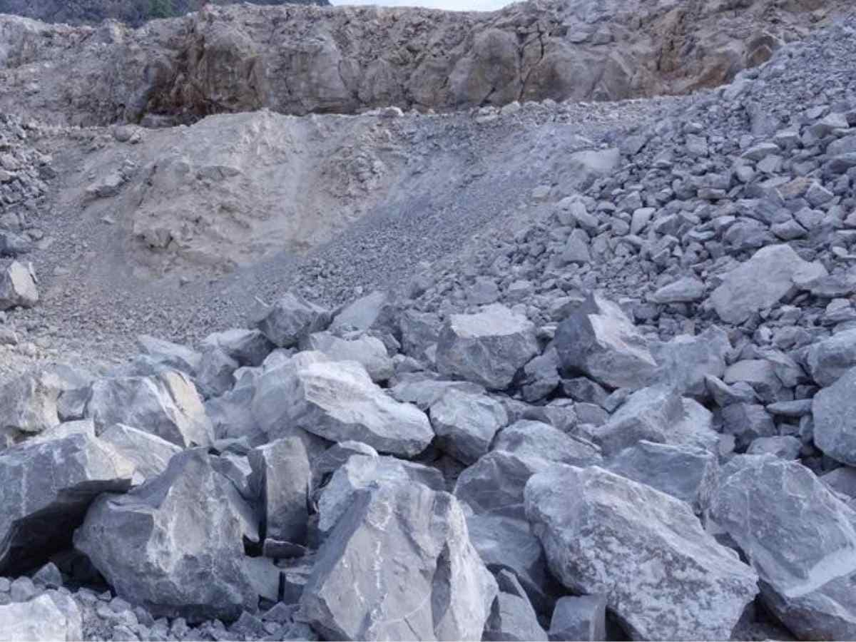 NTPC inks pact with RINL for supply of limestone