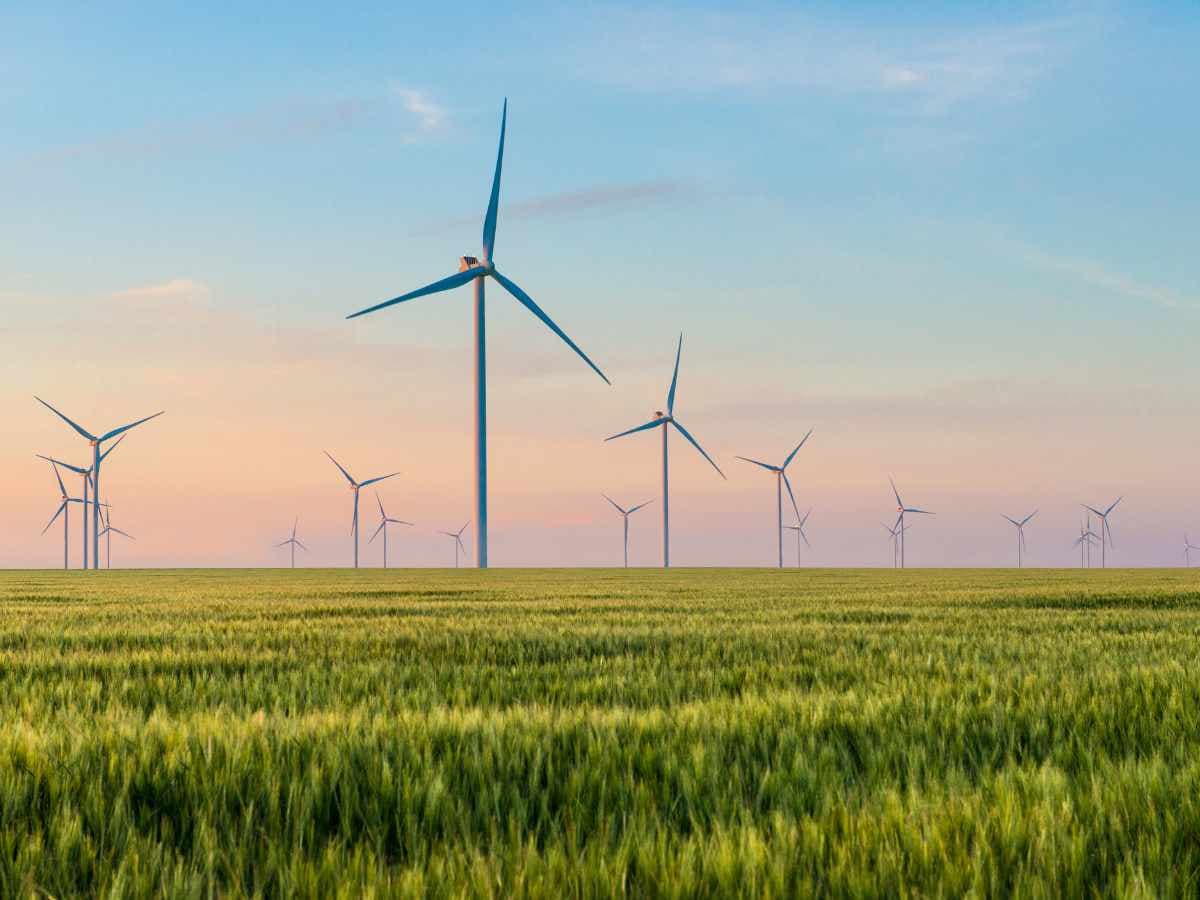 NTPC plans to list green energy vertical in next 1-2 years: CMD Gurdeep Singh