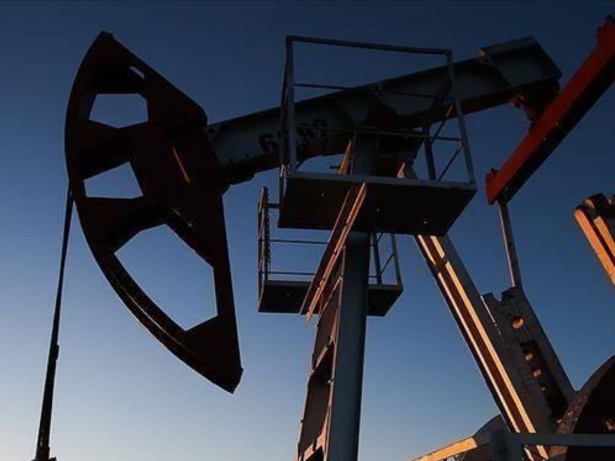 Anil Agarwal Calls for Urgent Push to Domestic Oil & Gas Production Amid Middle East Volatility