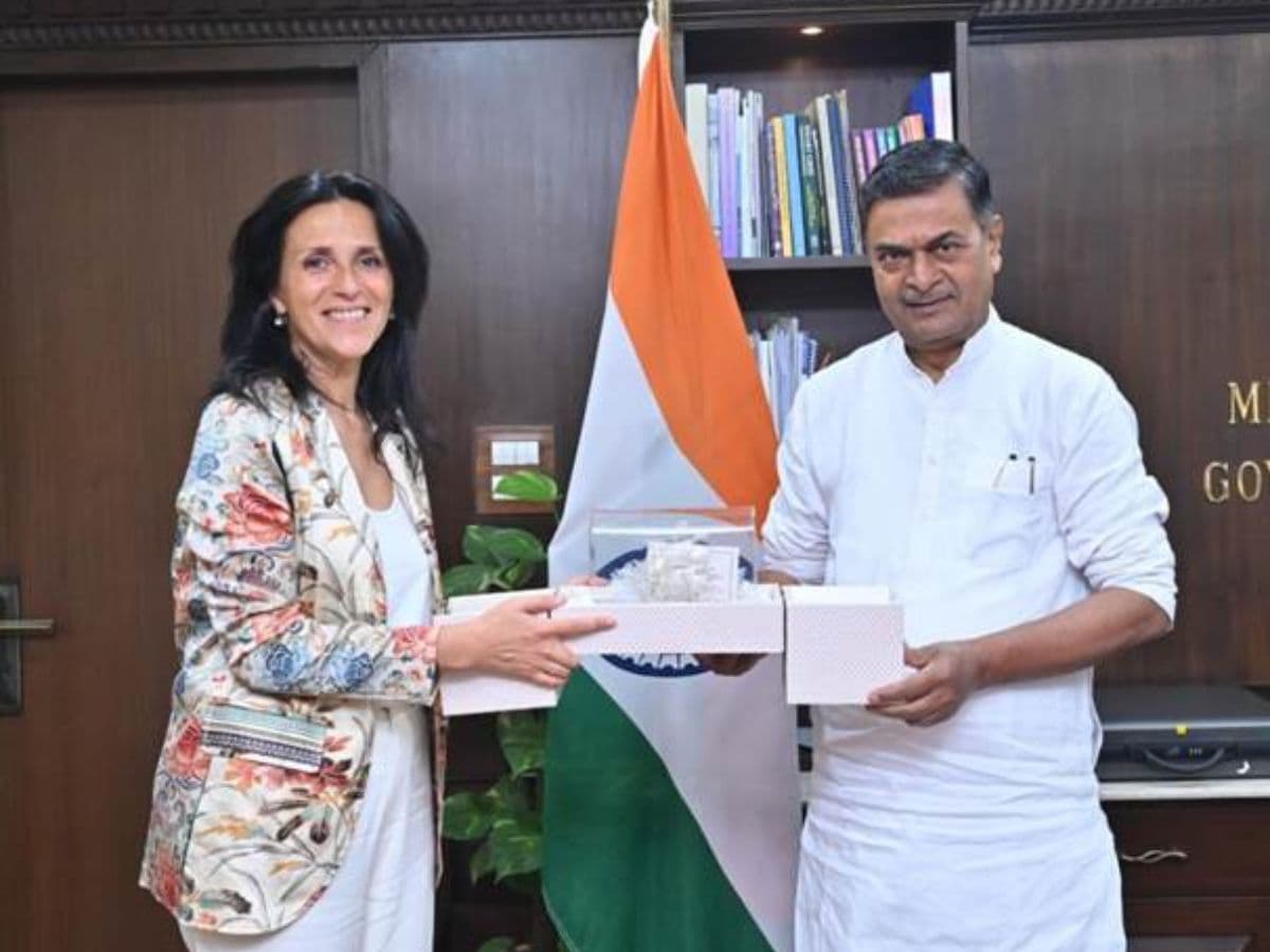 Power Minister discussed collaboration with French Delegation