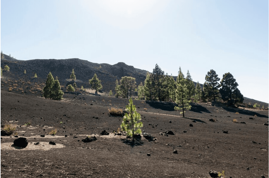 SECL’s development of new mining areas and facilities