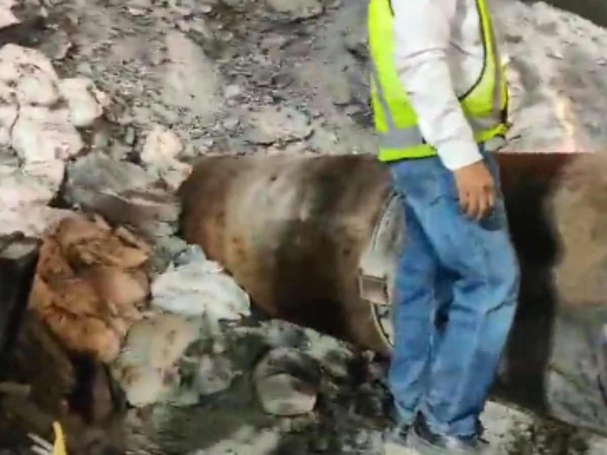 Uttarakhand Tunnel Collapse: Rescue Operations Halted, Workers Trapped for Over 150 Hours