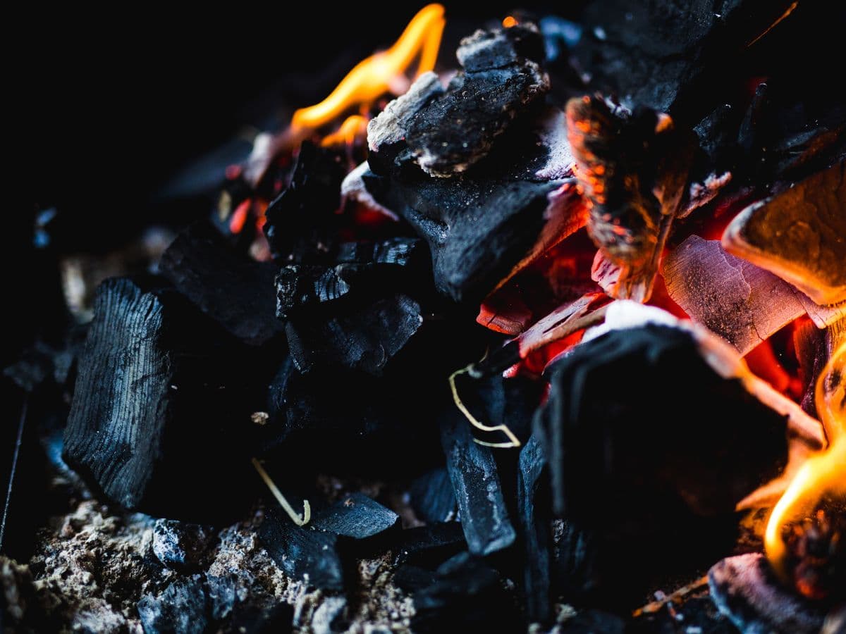 Coal India Ltd increases coal price by Rs 10 per ton, effective from 16 April