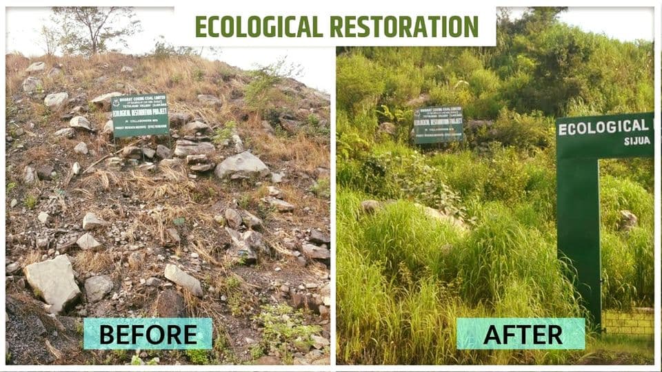 Ecological restoration at Bharat Coking Coal