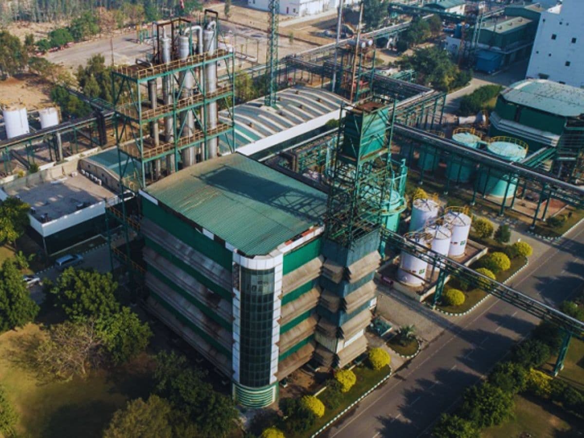 IOL Chemicals and Pharmaceuticals Reports Q3 & 9M FY25: Revenue Stable, EBITDA and PAT Margins Show Varied Trends