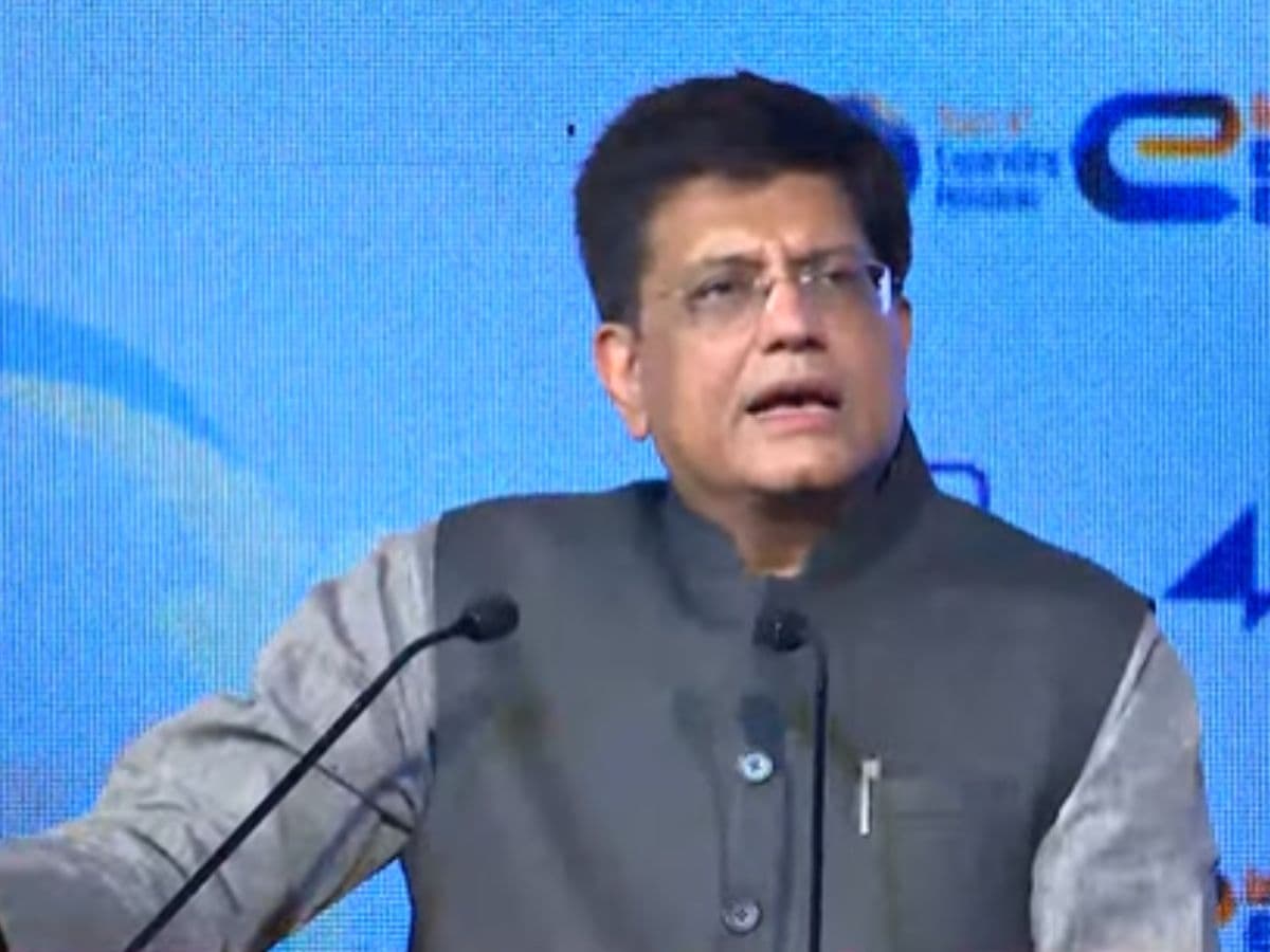 India to strengthen its partnership with Africa in four areas: Piyush Goyal