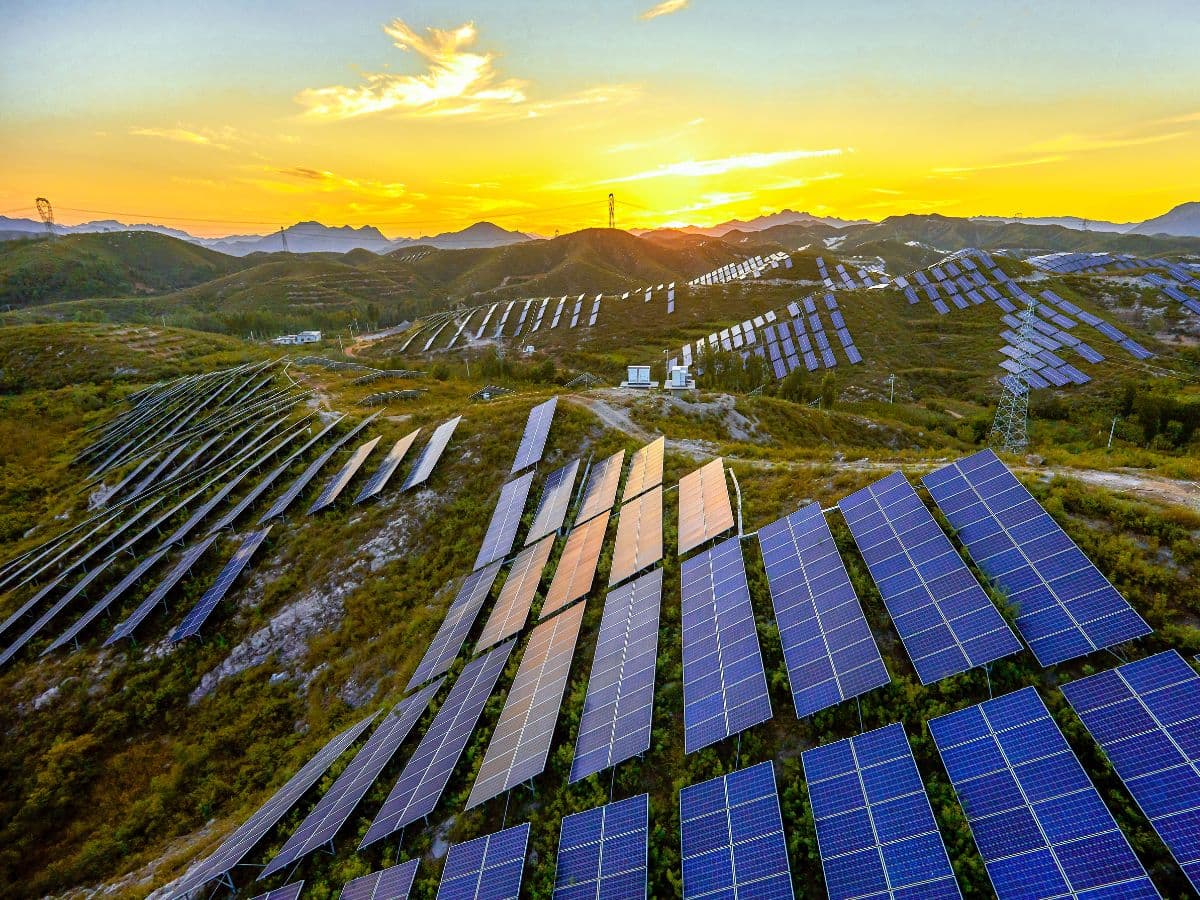 NHPC Ltd awards LoA to Jindal India Renewable Energy for 300 MW solar project