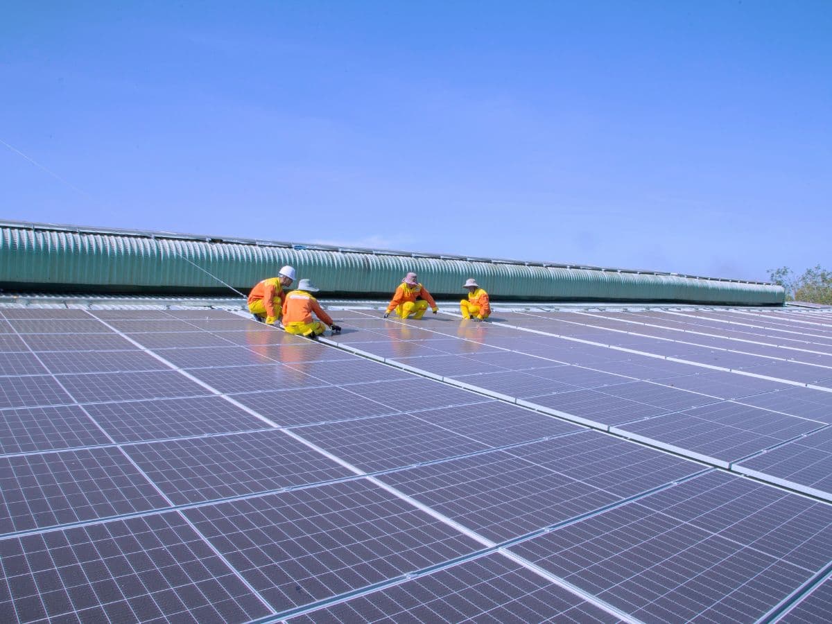 NTPC Ltd commences 193 MW out of 245 MW capacity at Nokh Solar PV Project