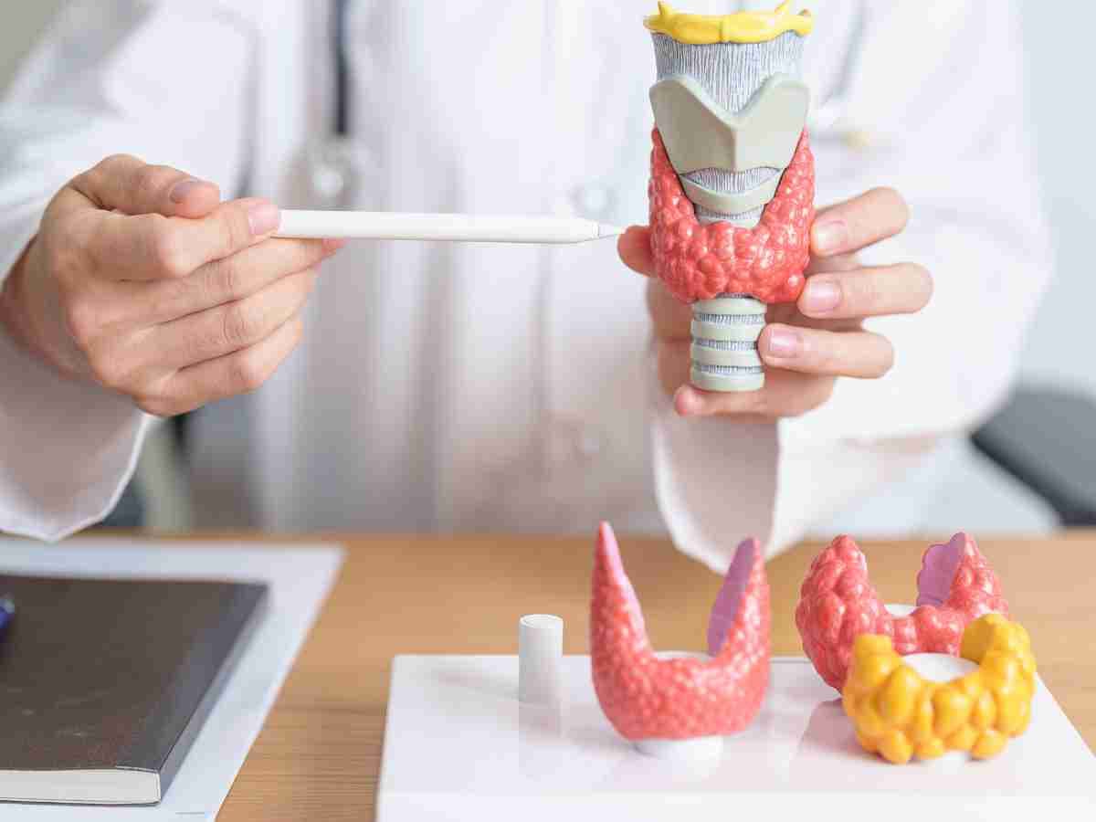 Thyroid Care: Understanding Conditions and Managing Your Health