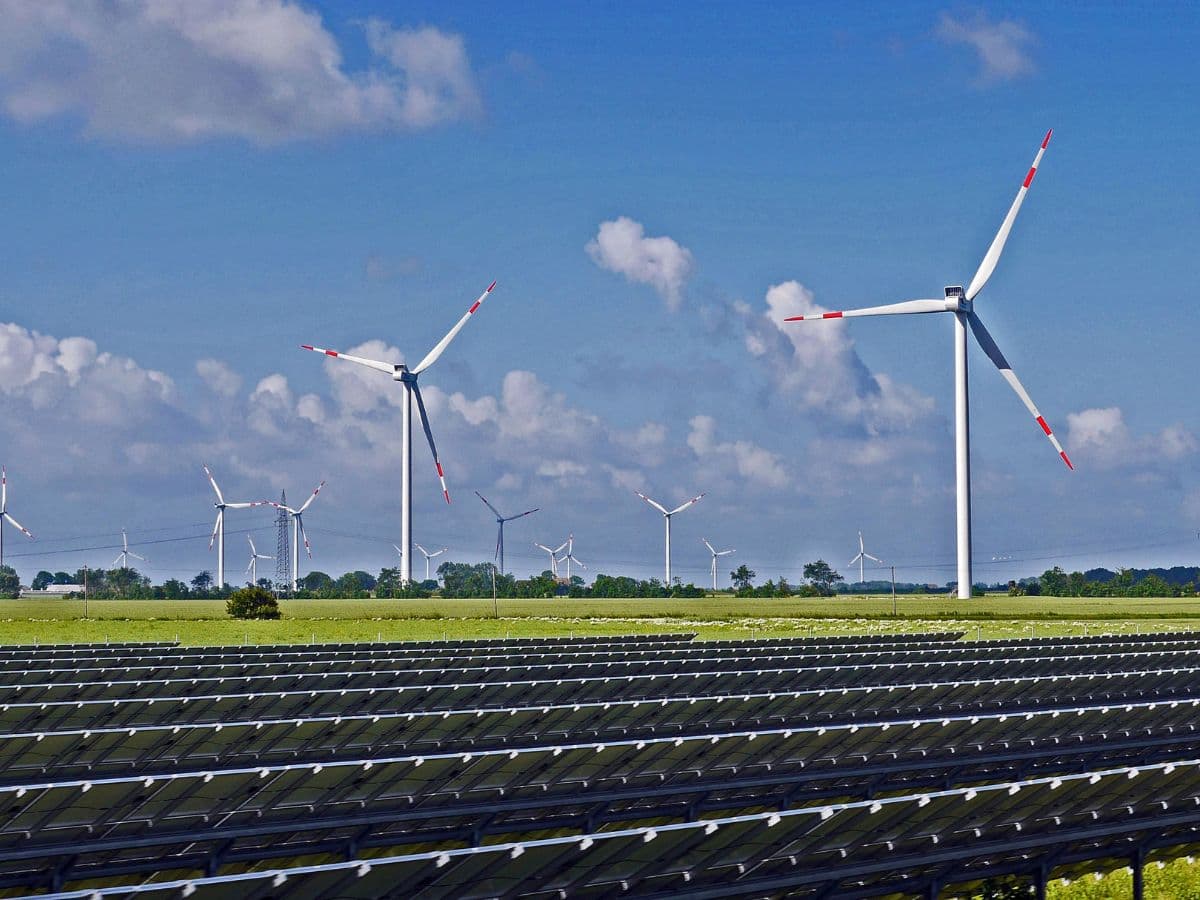 Update on India’s single largest wind order