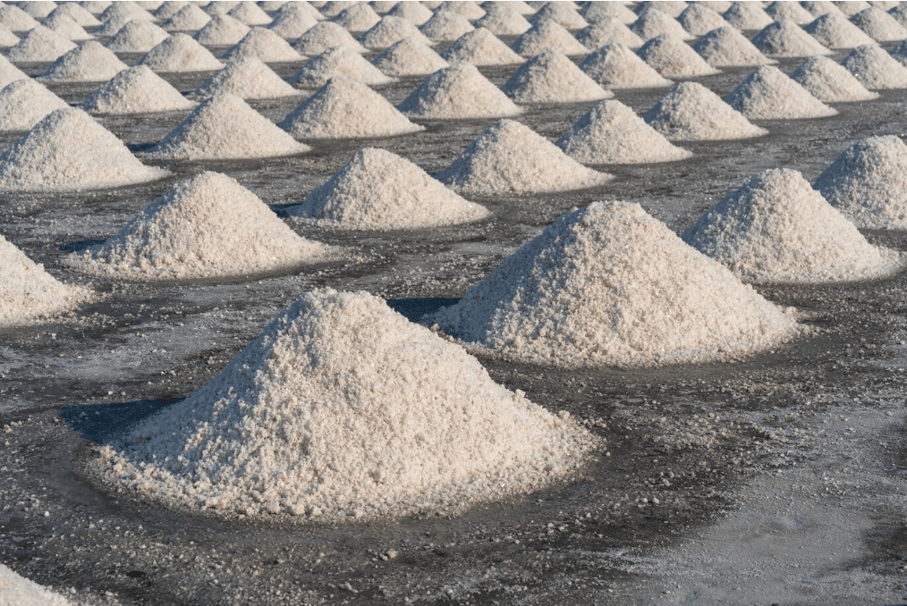 Transforming Sodic Lands: FAGMIL’s Role in Agricultural Development