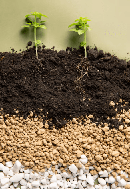 A legacy of trust and excellence in the fertilizer industry