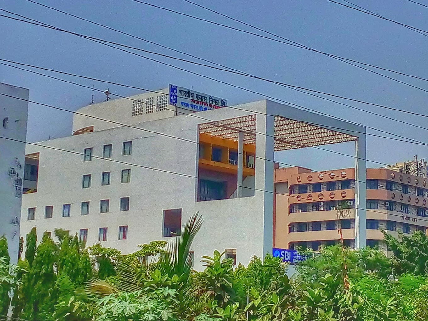Cotton Corporation of India Limited