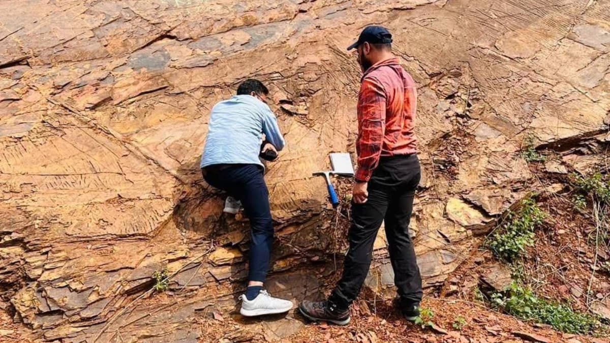 CMPDI Starts G-4 Copper Survey in Jiawan Block, Singrauli, Madhya Pradesh