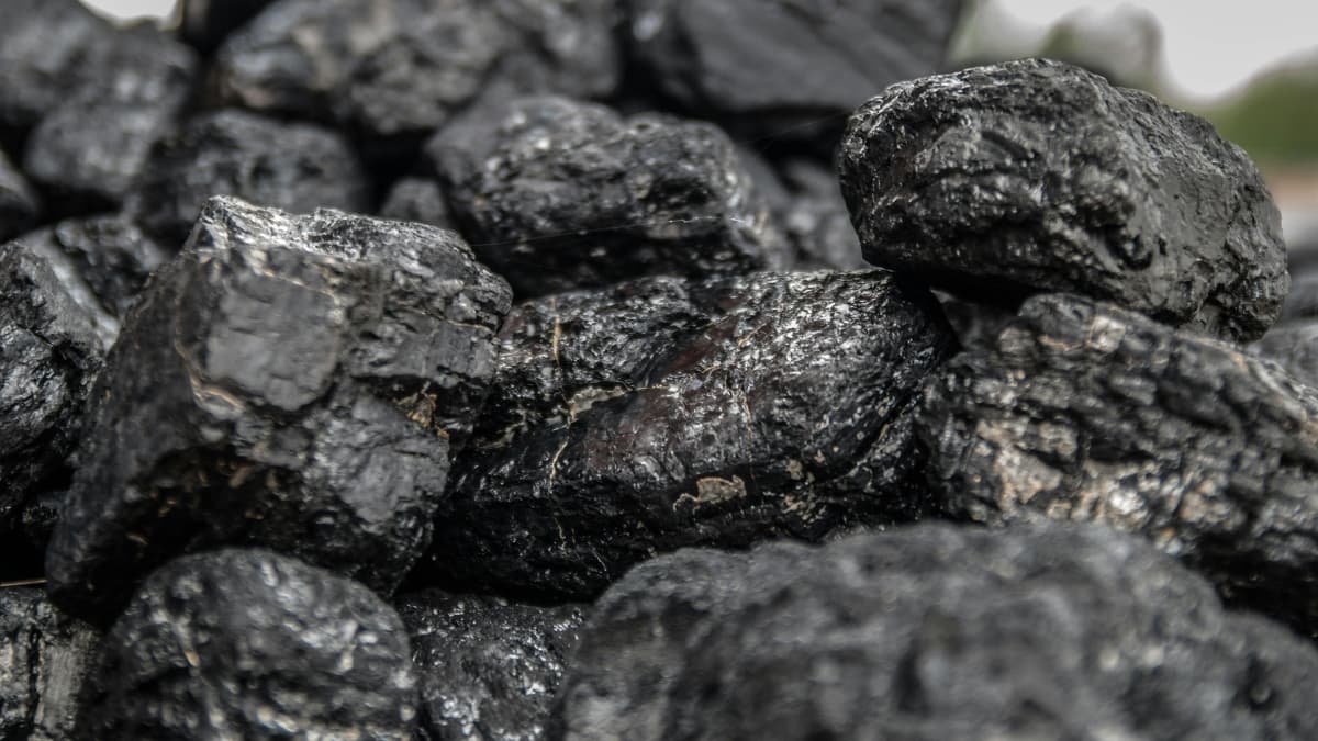 Coal India Subsidiary SECL Achieves Record Coal Offtake of ↑ 170.8 MT