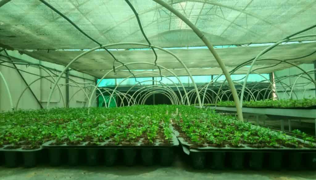 Govt focusing on making India Energy Powerhouse