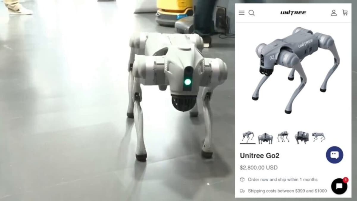 Galgotias University Stall Vacated at India AI Summit After ‘Chinese Robodog’ Controversy; MeitY Issues Stern Warning
