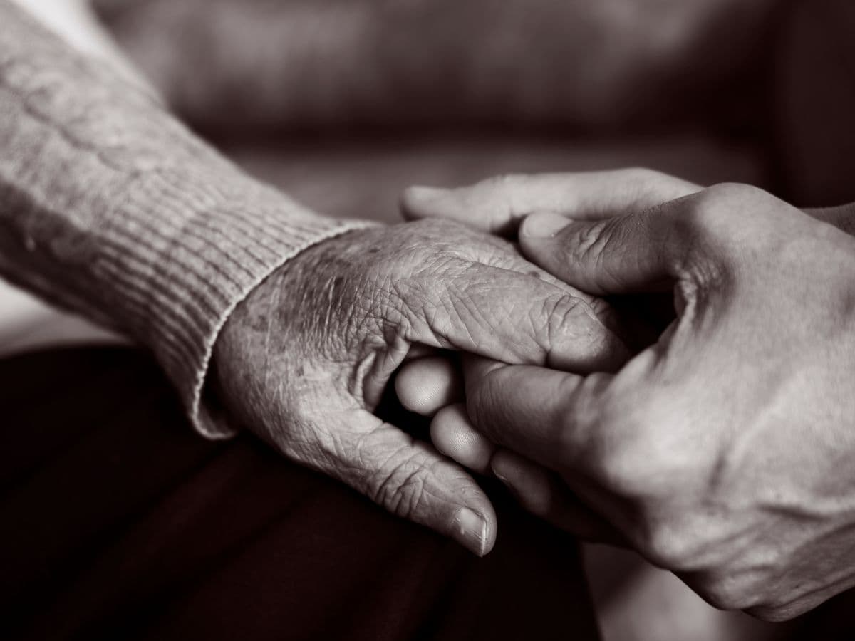 Govt. implemented Integrated Programme for Senior Citizens Schemes For Old Age People