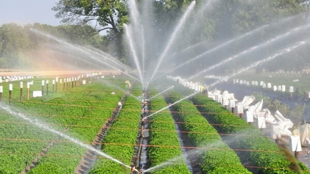 MKVDC declares Patel Engineering-led JV as lowest bidder for irrigation project of Rs 133.25 crore