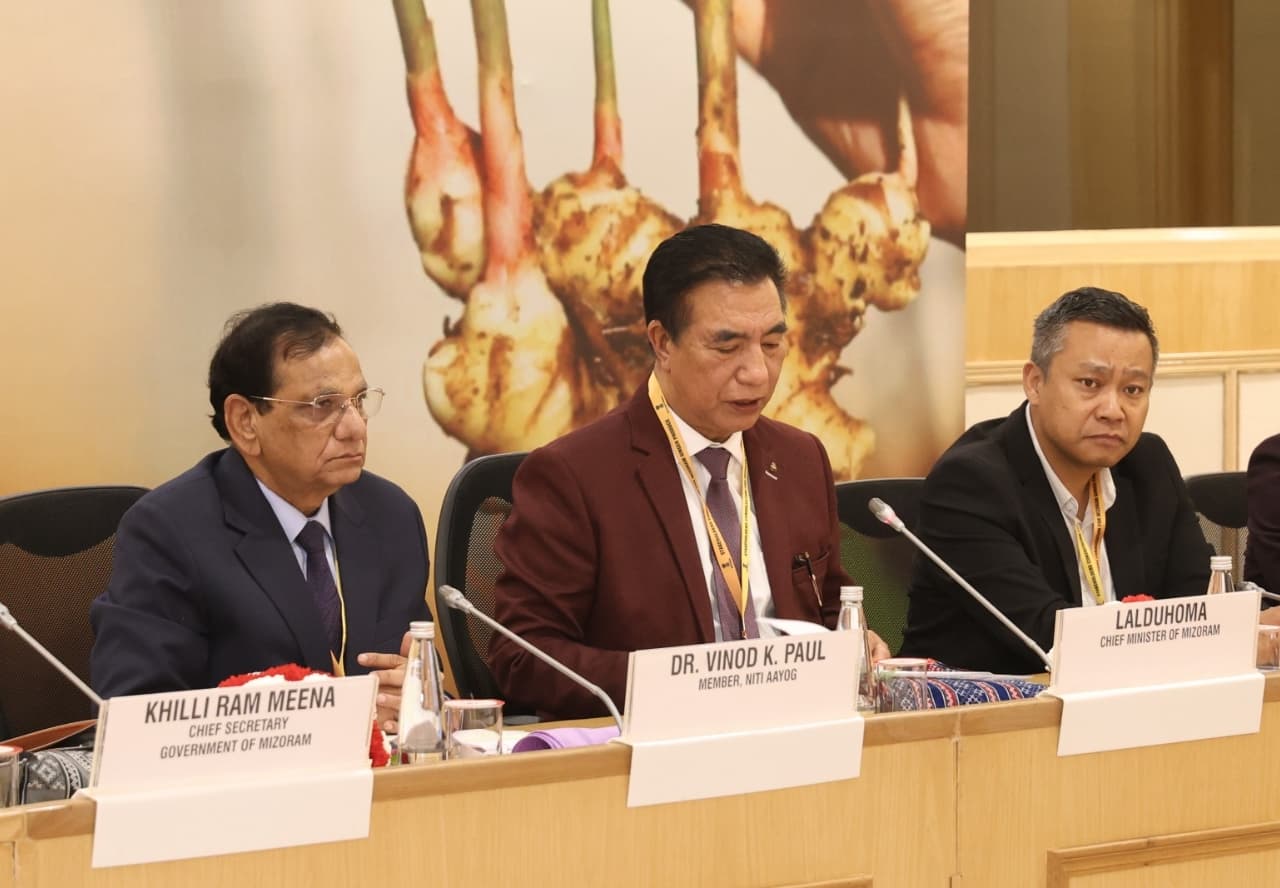 NITI Aayog and Government of Mizoram Hold Consultation to Strengthen Ginger Value Chain