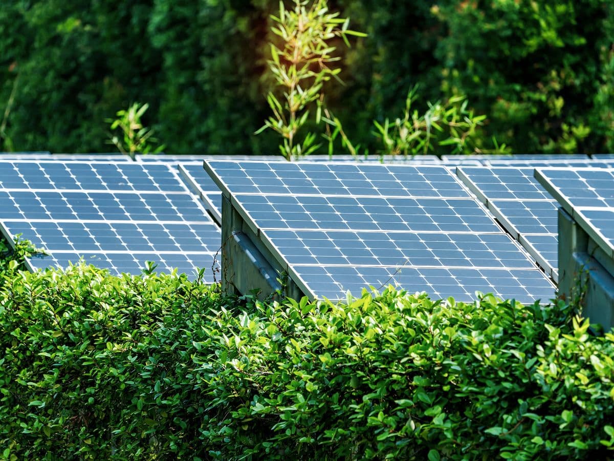 NLCIL arm enters into JV with APDCL to cater RE demand in Assam