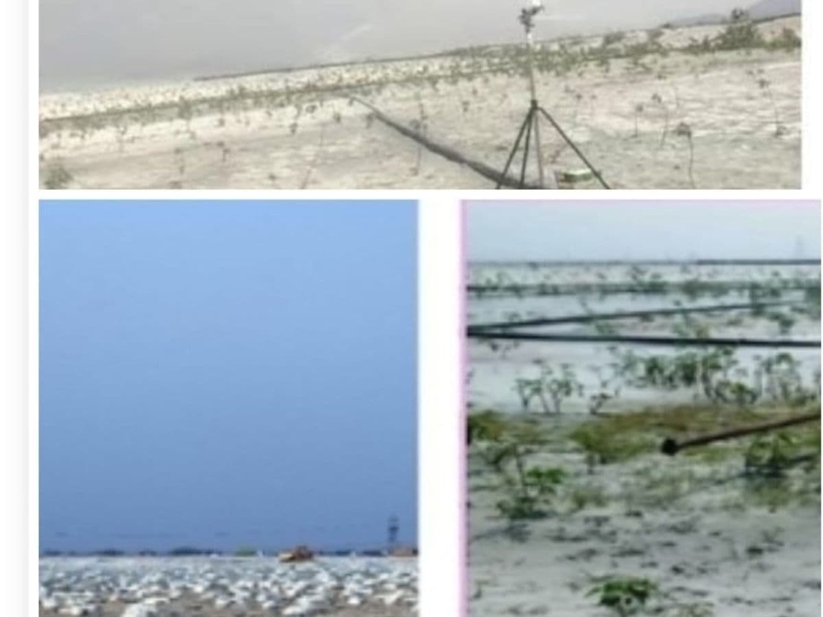 NTPC Sipat implements advanced technologies to minimize dust emissions in ash dam area