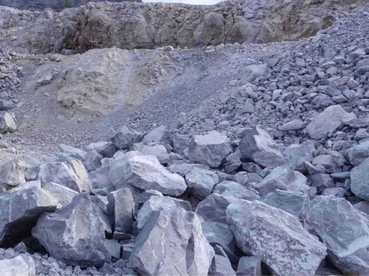 NTPC inks pact with RINL for supply of limestone