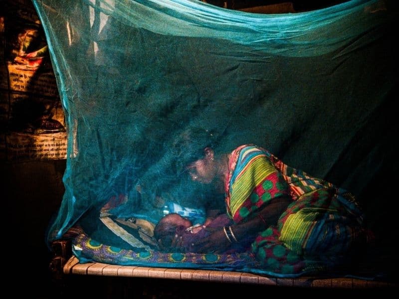 World Malaria Day: Odisha Govt emphasizing importance of innovation in fight against malaria