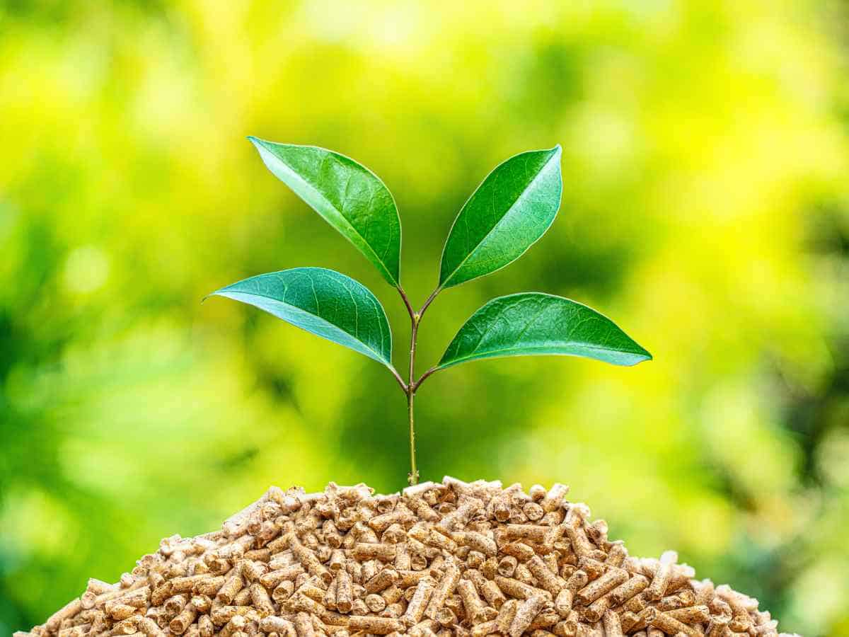 Around 500 million people in India still struggling to access clean cooking solutions as per recent report