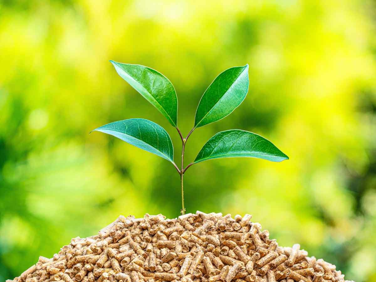 Around 500 million people in India still struggling to access clean cooking solutions as per recent report