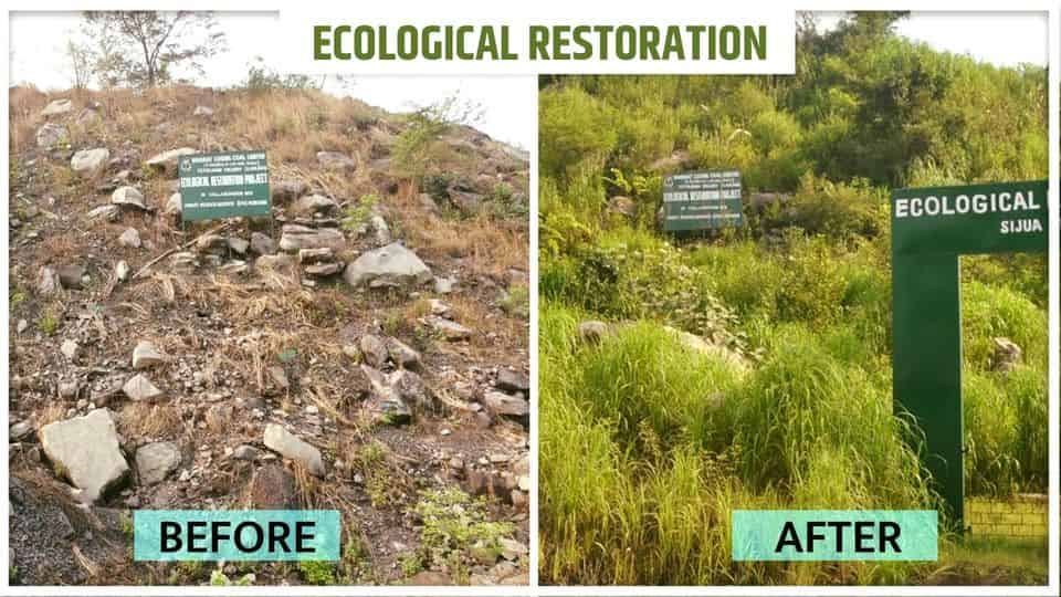 Ecological restoration at Bharat Coking Coal