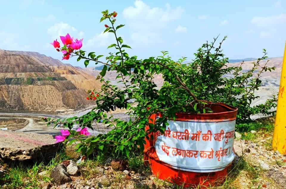 NCL signed MoU with Madhya Pradesh Rajya Van Vikas Nigam