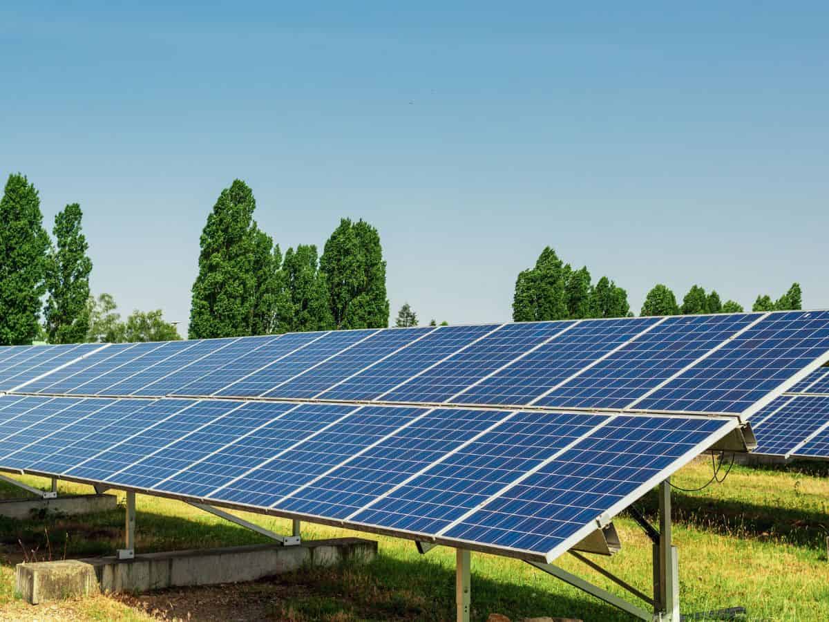 NHPC commences commercial operation of 300 MW solar PV project in Rajasthan
