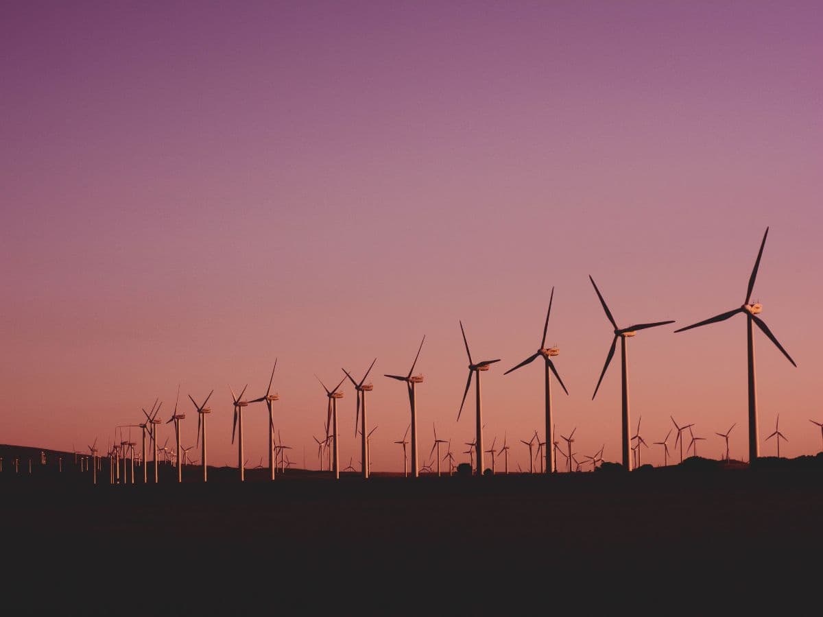 NLC India Limited Secures 200 MW Wind Power Project from SJVN