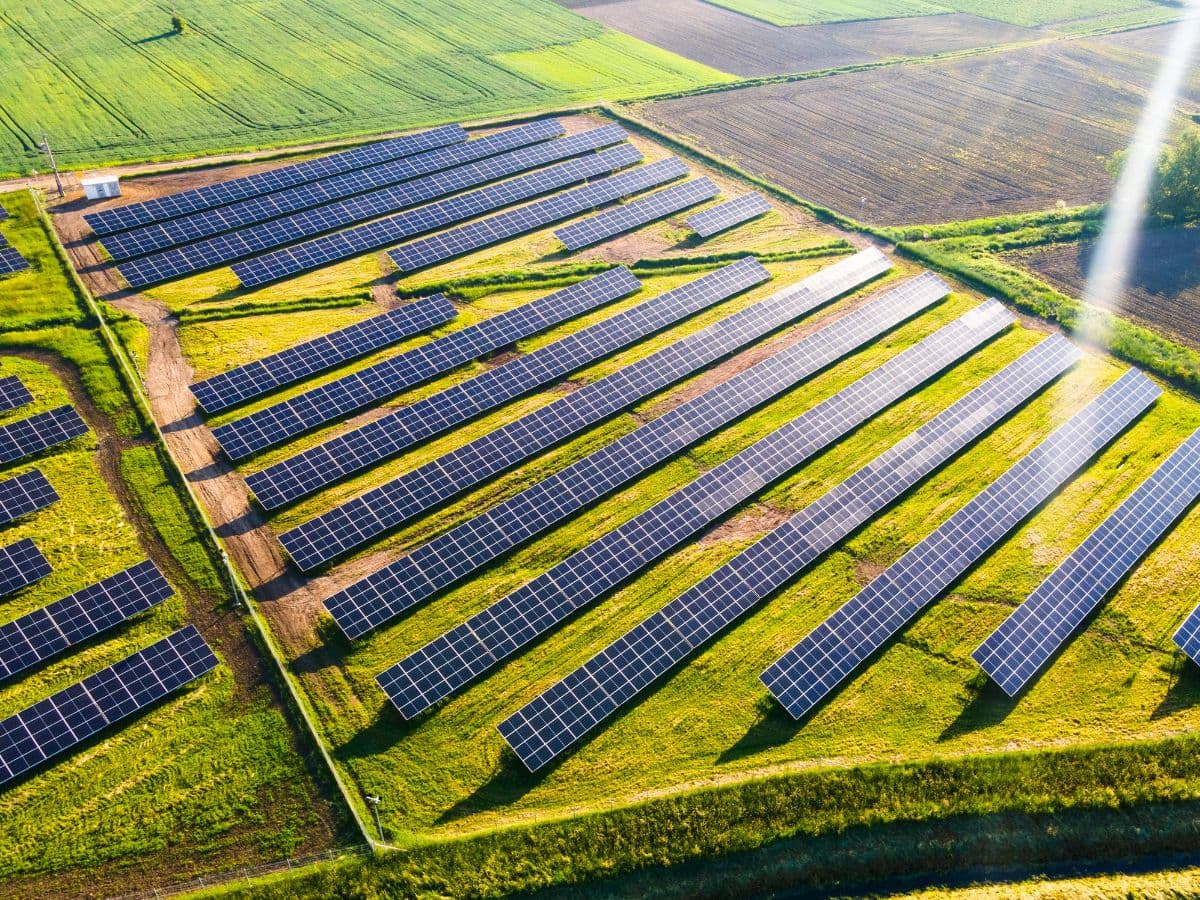 NTPC Signs 300 MW PPA with Evren for Solar-Based Renewable Energy Development