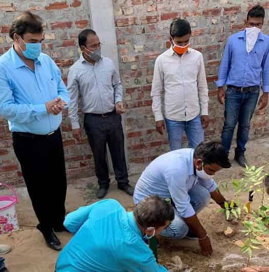 POWERGRID Fatehgarh launched 2 sub-station operation green plantation drive