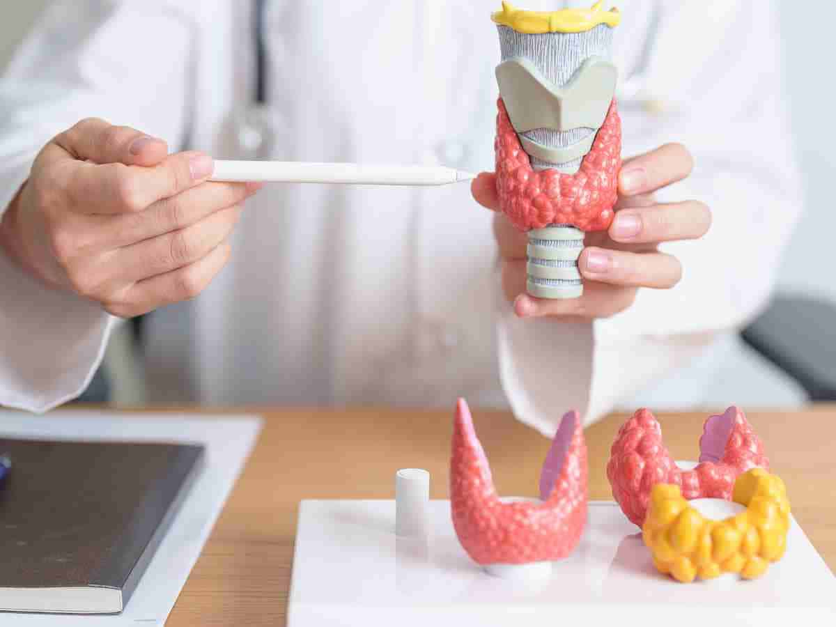 Thyroid Care: Understanding Conditions and Managing Your Health