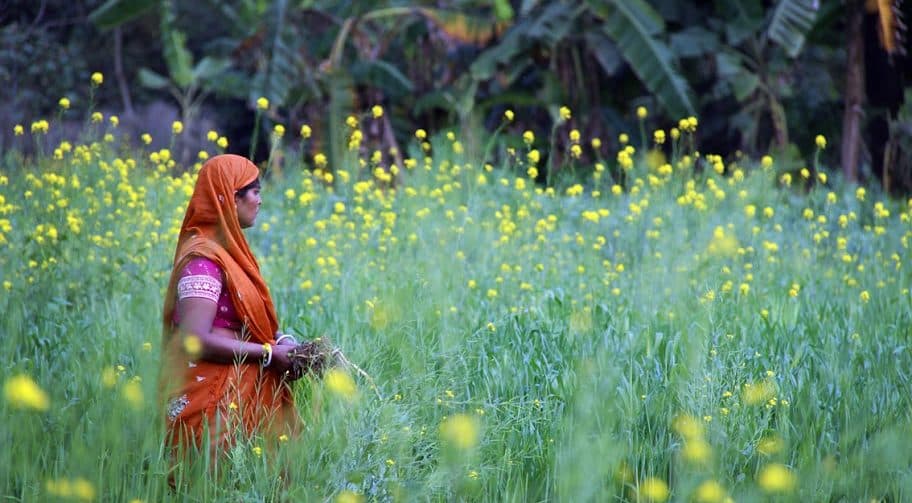 Promoting eco-friendly farming practices through AgIn.