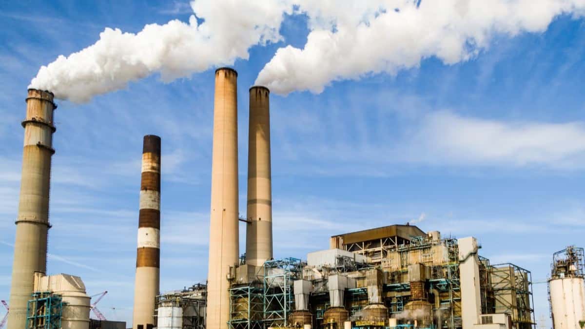 DVC's CTPS Emerges as Top Central Sector Thermal Power Plant in PLF for March 2026