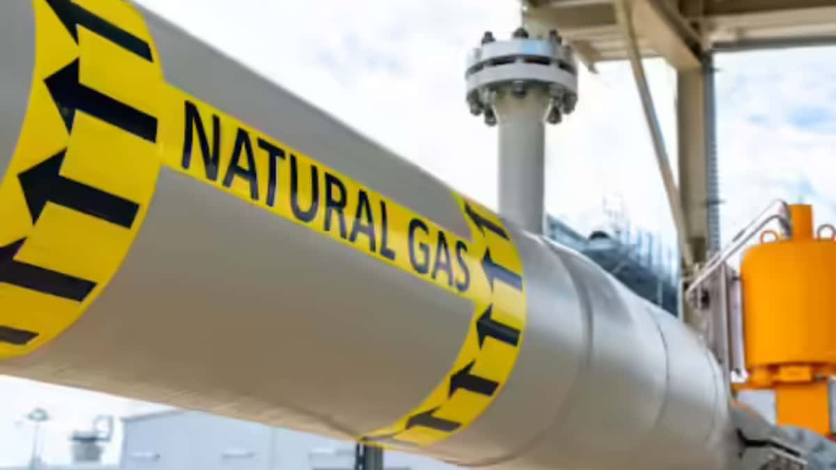 Indraprastha Gas Seeks Shareholder Approval for Kumar Shanker as Managing Director