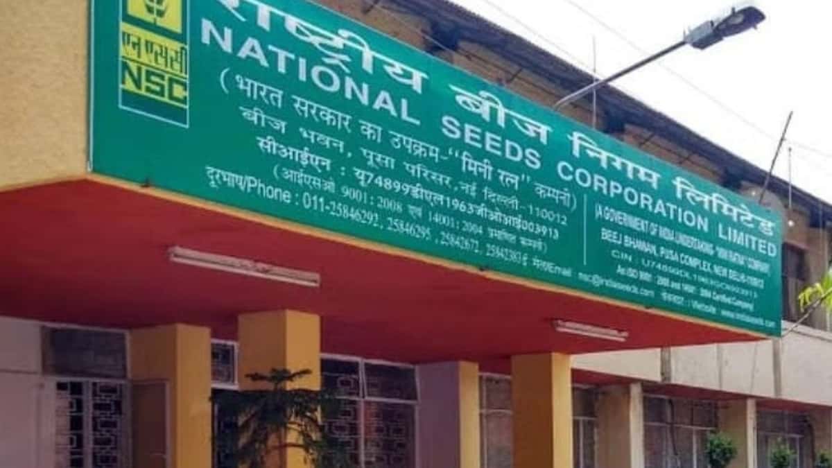 NSC CMD Recruitment 2026: PESB Invites Applications, Check Last Date