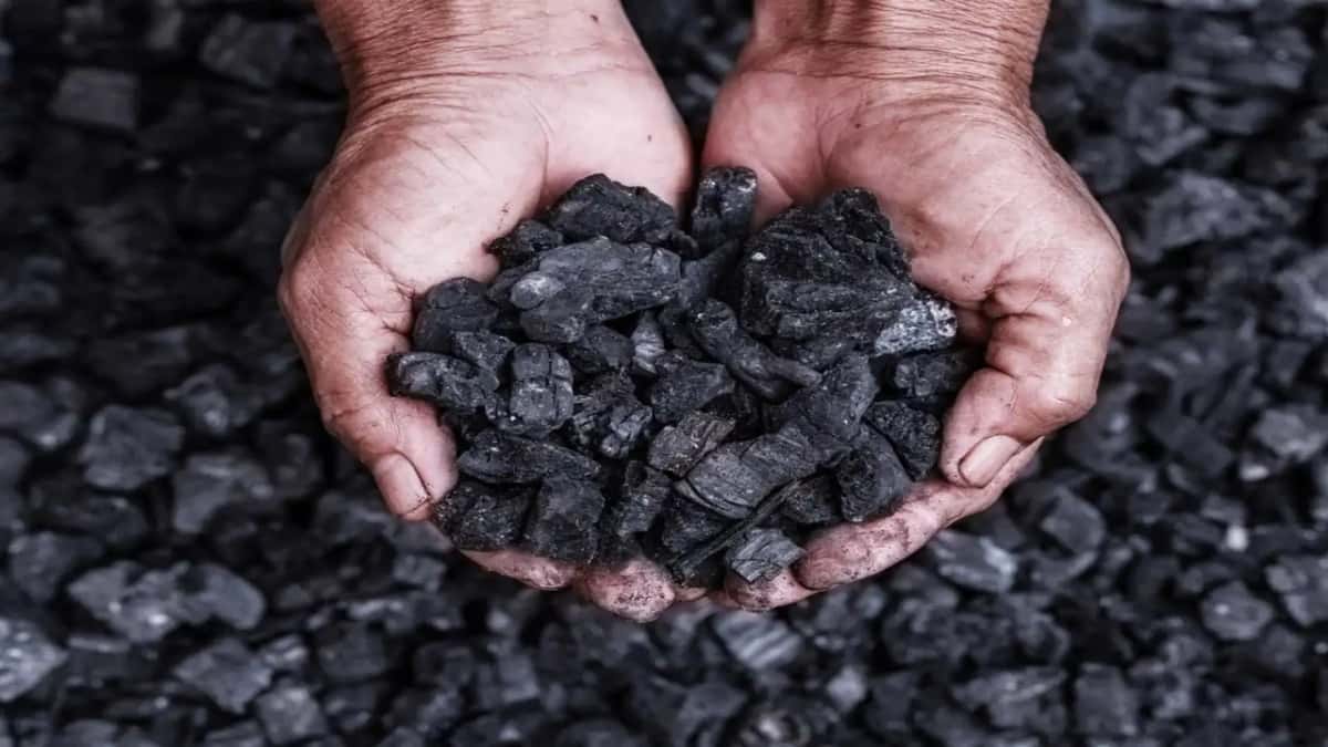 NTPC Invites Bids for 1.5 MMT Domestic Coal for Dadri, Unchahar & Barh